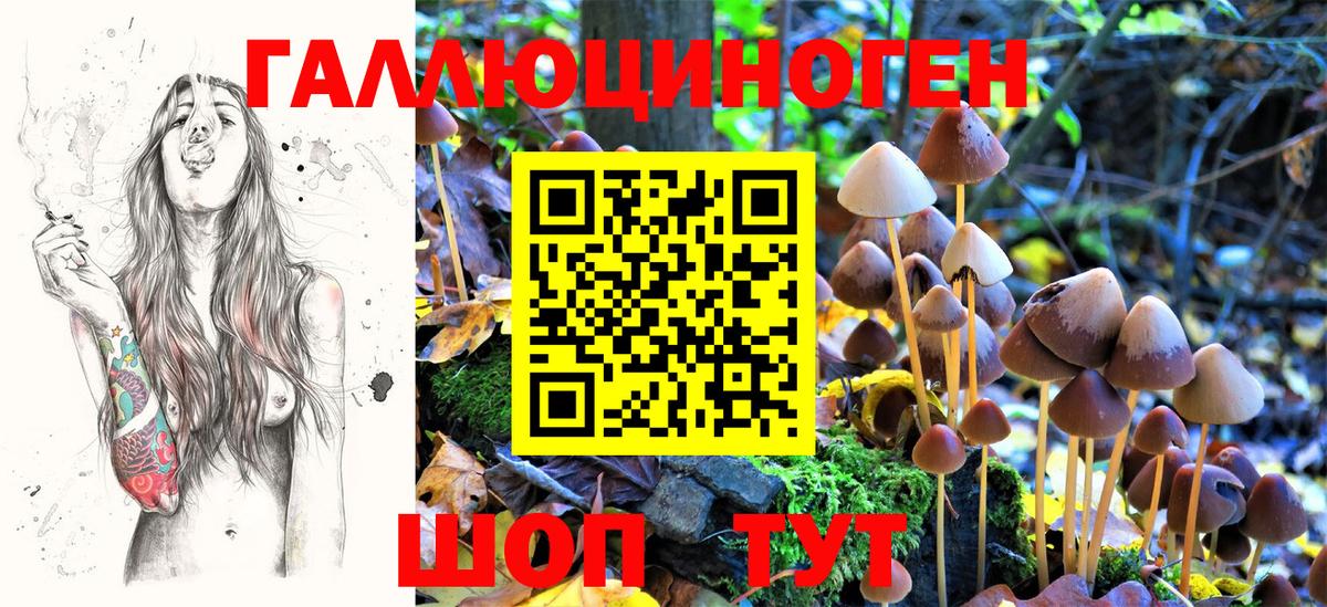 Галлюциногенные грибы MAGIC MUSHROOMS Улан-Удэ