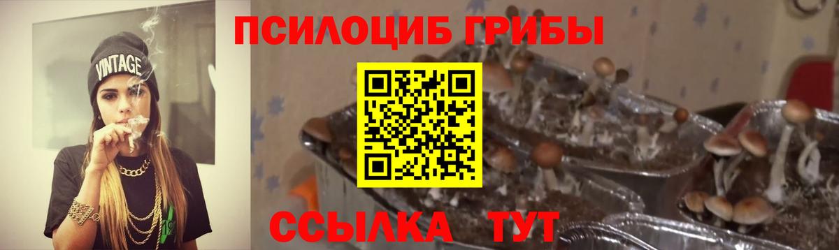 Псилоцибиновые грибы Psilocybine cubensis  Галлюциногенные грибы Psilocybe  Улан-Удэ  Вход с VPN 